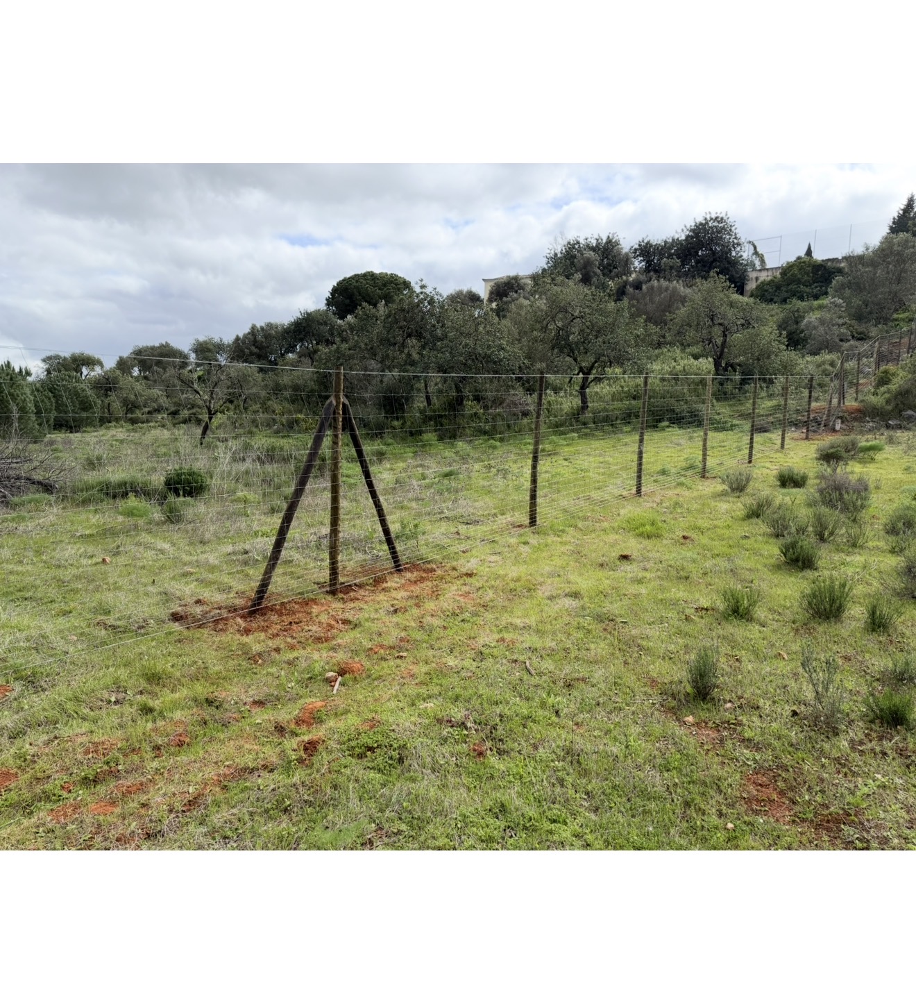 Cartwright Fencing Company project