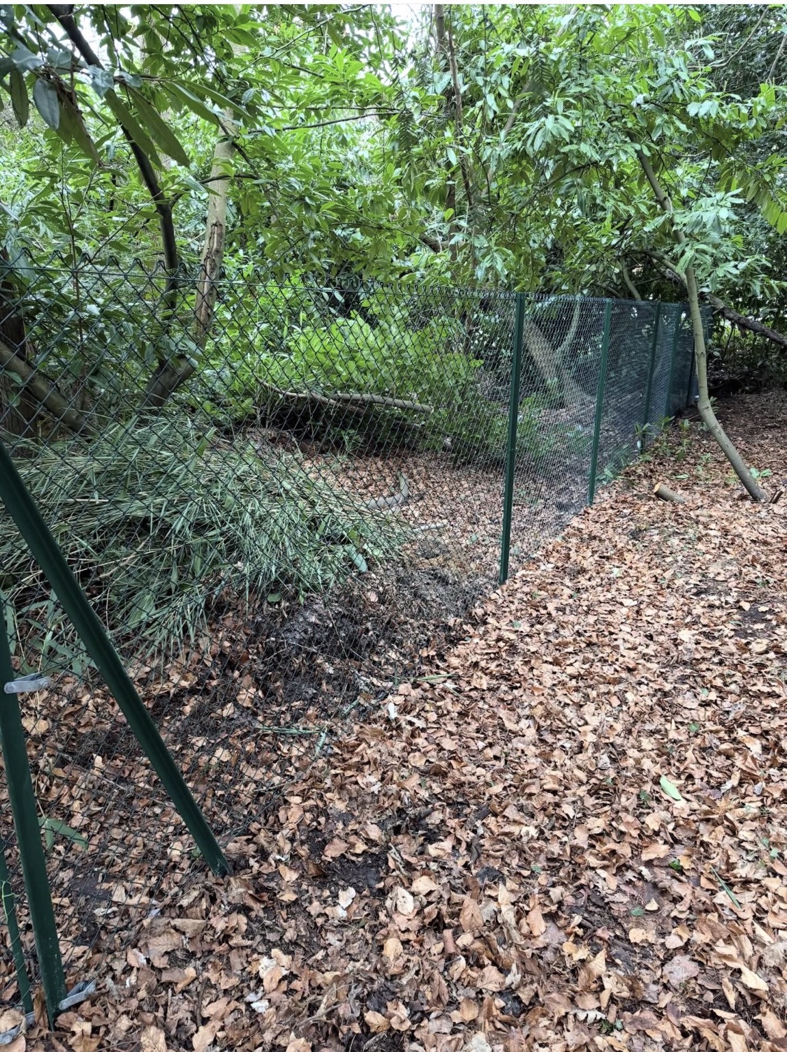 Cartwright Fencing Company project