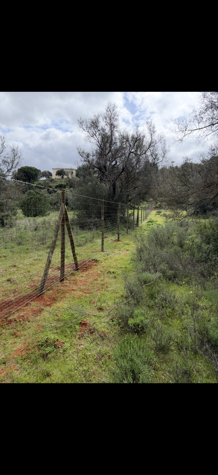 Agricultural wire fencing project by Cartwright Fencing Company