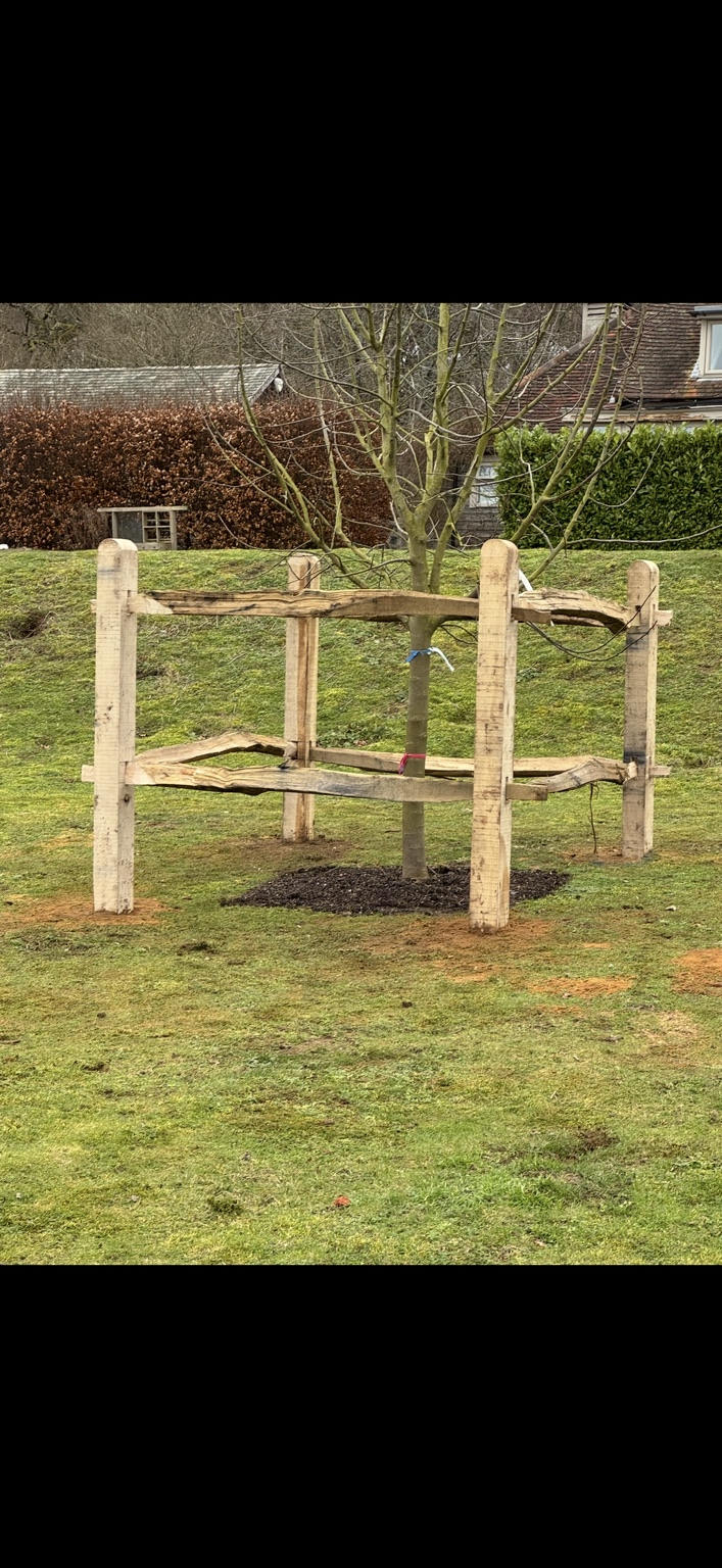 Rustic timber tree guard by Cartwright Fencing Company
