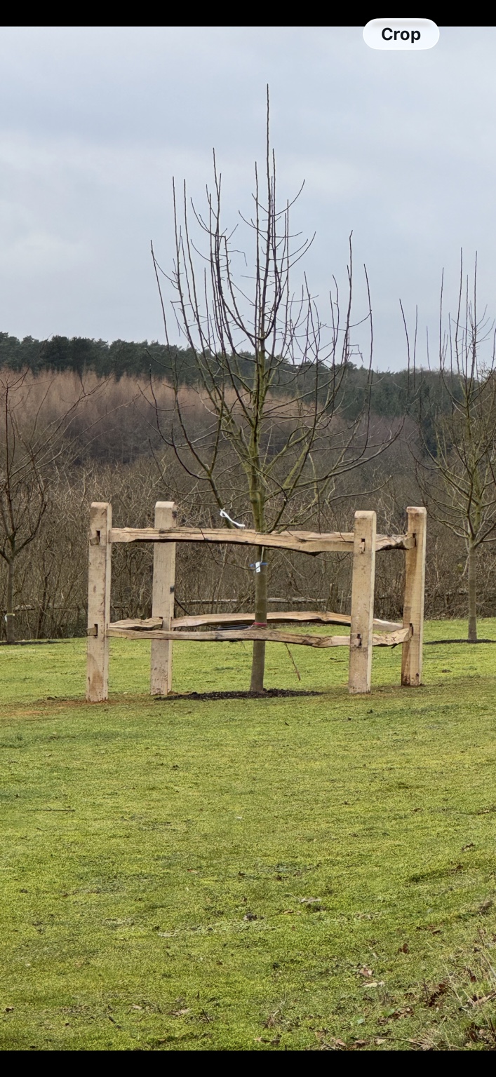 Rustic timber tree guard fencing by Cartwright Fencing Company